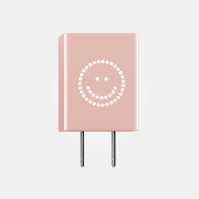 Wall Adapter Plug, Rose Gold
