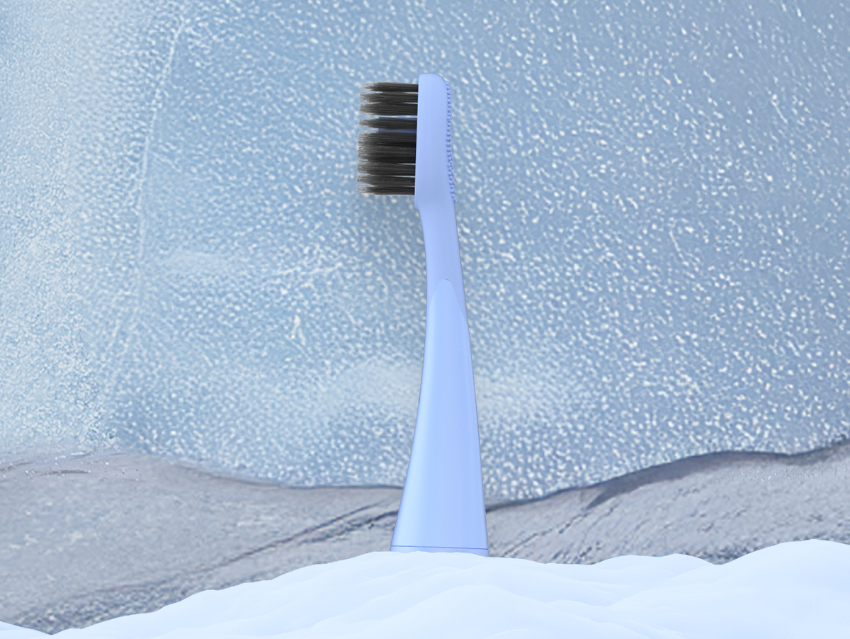 Color: Frost; replacement toothbrush heads