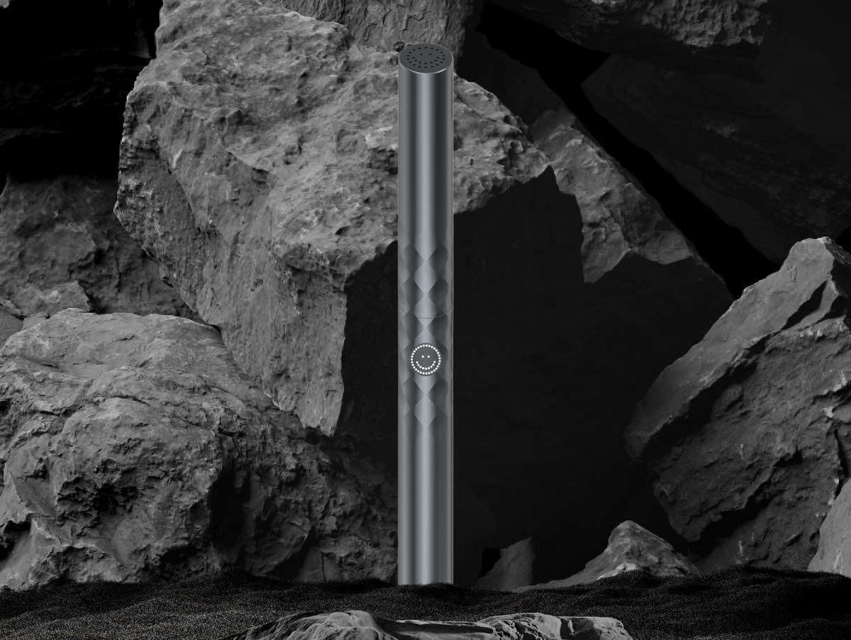 Color: Graphite; Travel Toothbrush