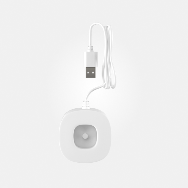 Color : White; Adult Brush Charging Base