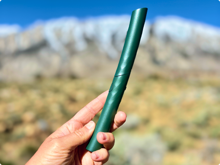 Color: Forest Green; Travel Toothbrush