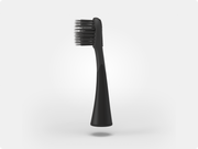 Color: Black; Replacement toothbrush heads