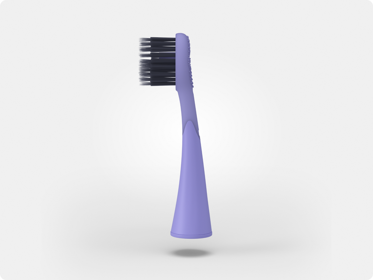 Color: Lavender; Replacement toothbrush heads