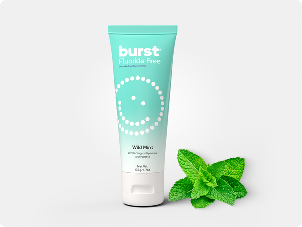 Natural Wild Mint Toothpaste Refill